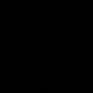 Meet your Posher, Rudy